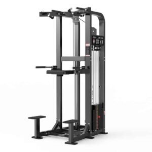 Dip And Chin-up Assist