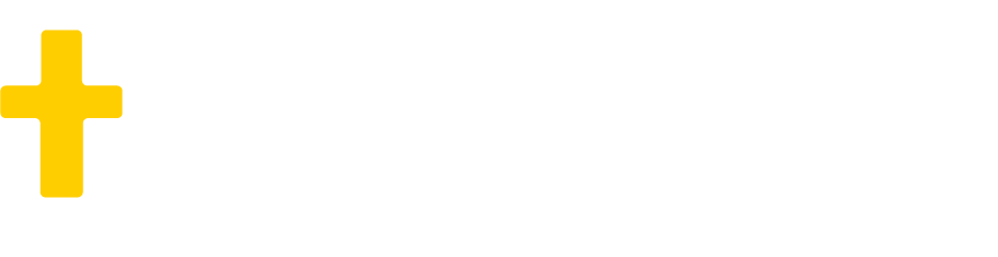 light logo