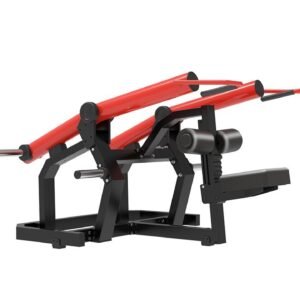 Triceps