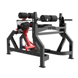 Abdominal and back extension