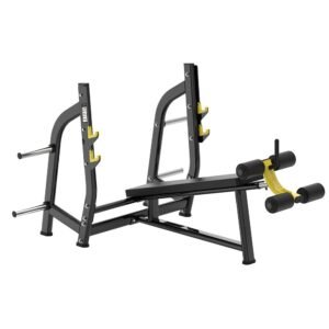 Decline Bench