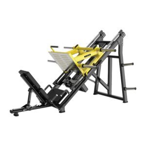 45 Degree Leg press