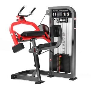 Triceps Extension